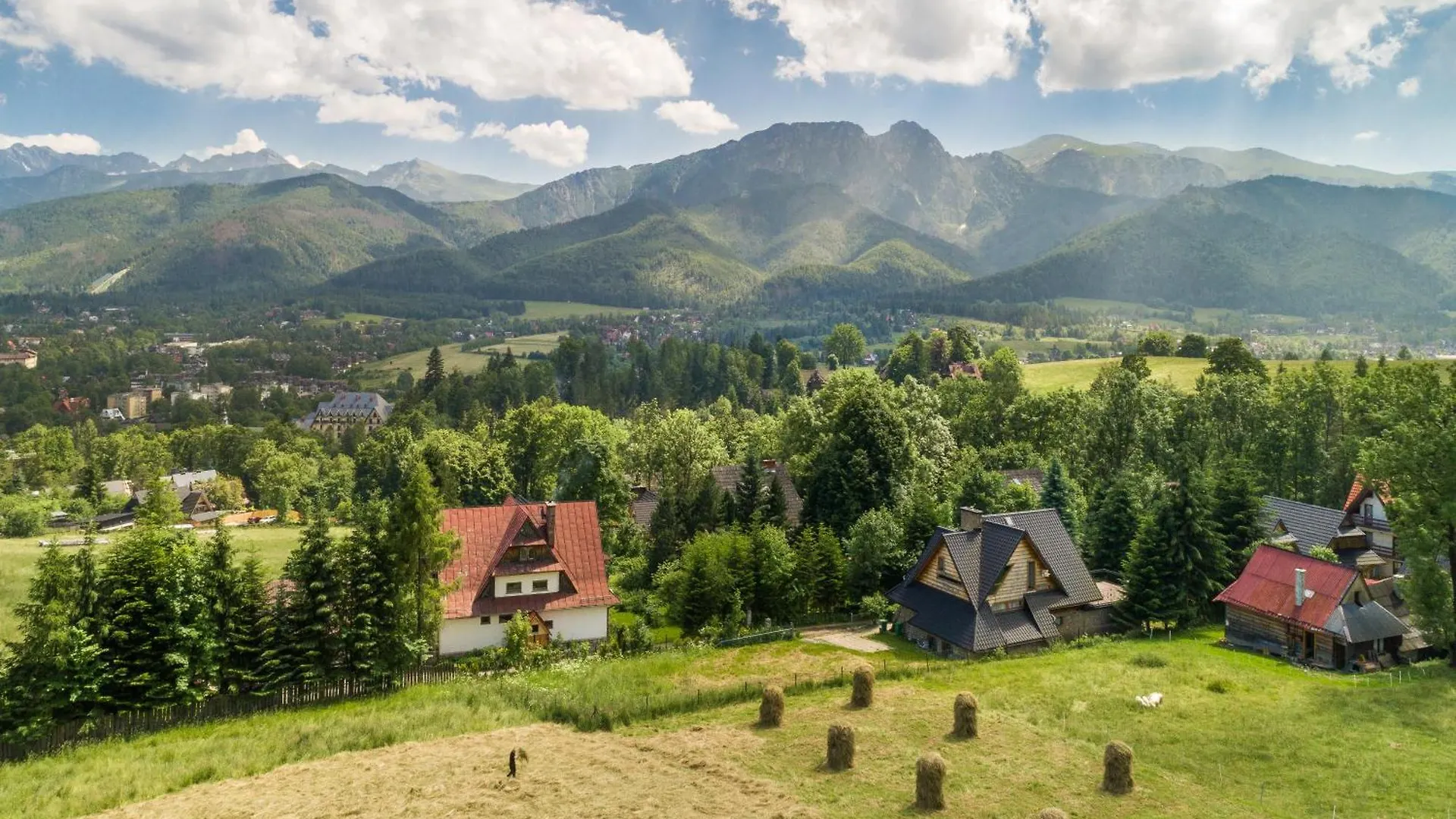 Malownicza Polana Centrum Zakopane Polonia