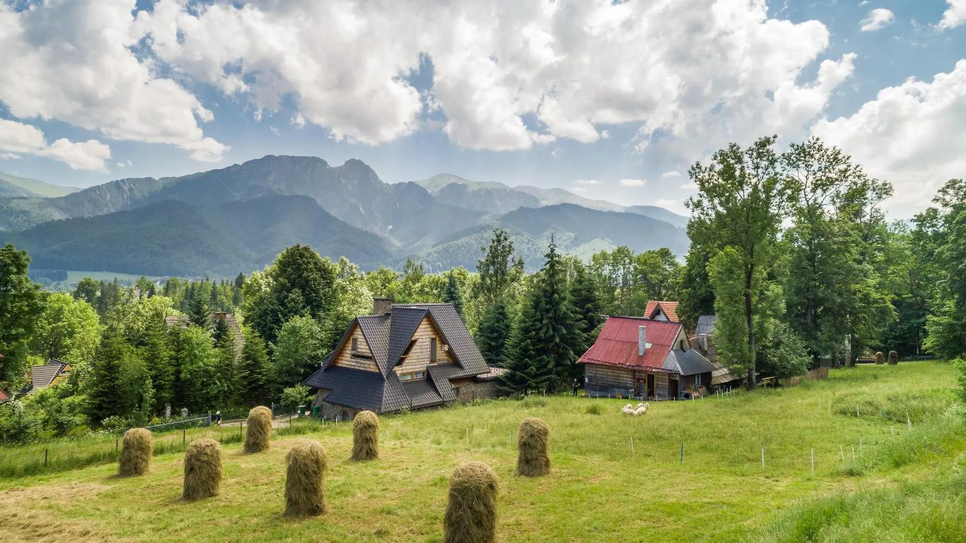 Malownicza Polana Centrum Zakopane Chalet
