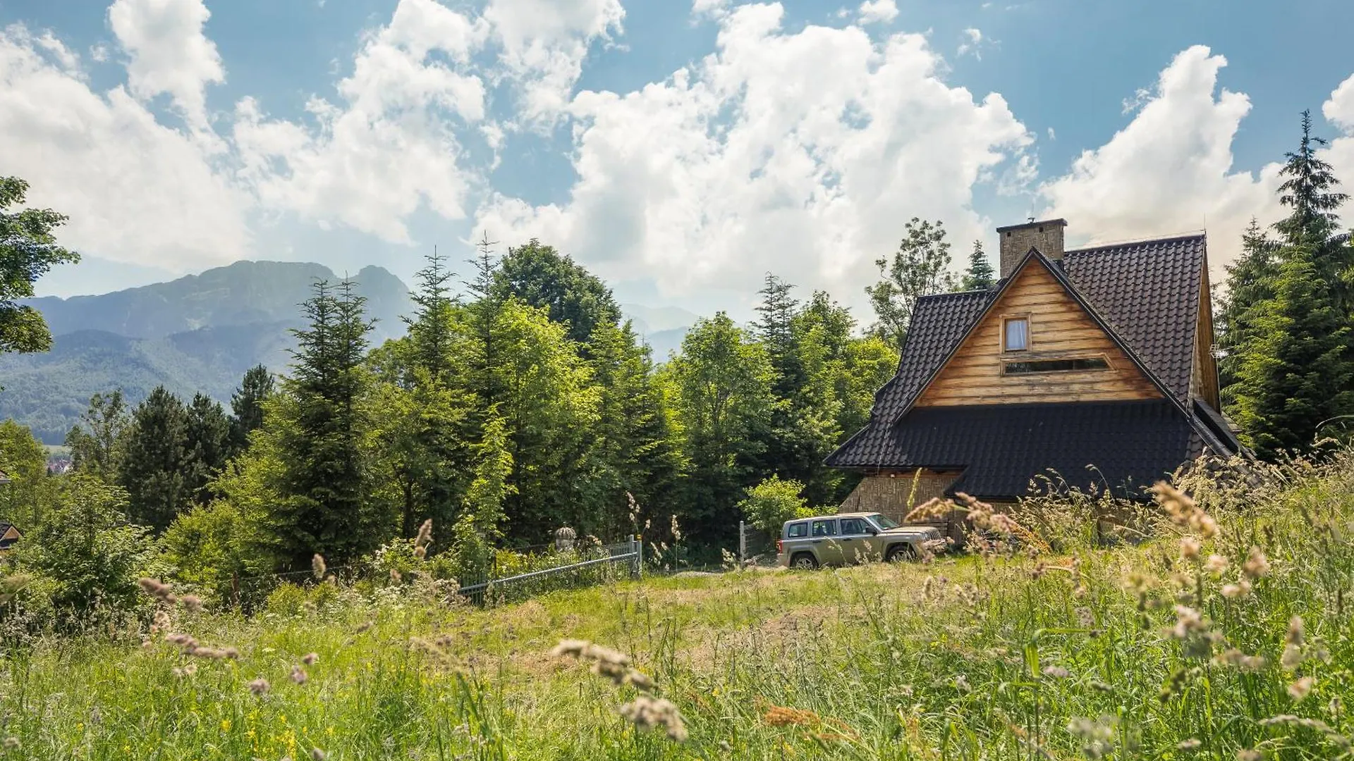 Malownicza Polana Centrum Zakopane
